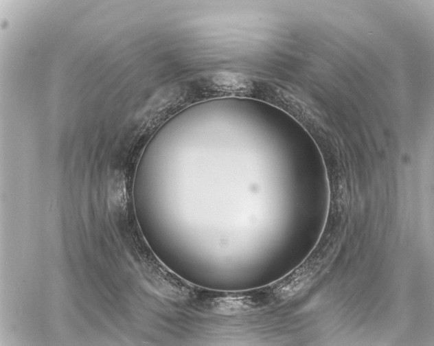 X0000060810320200511141513