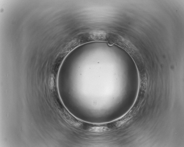 X0000060810323200511141513