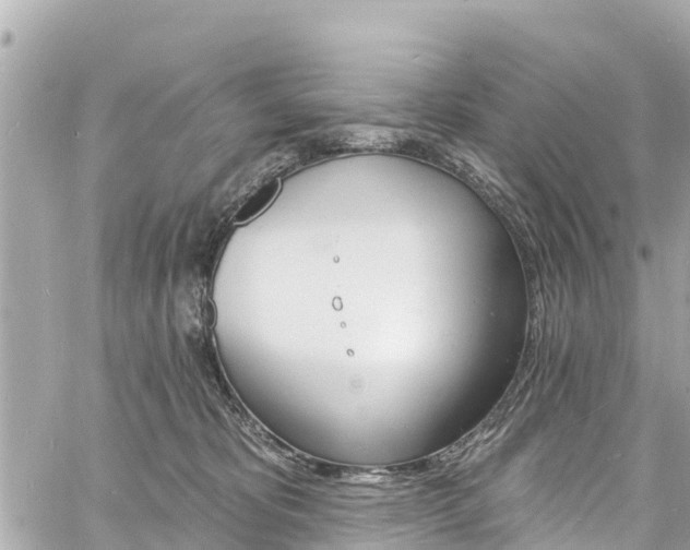 X0000060810325200511141513