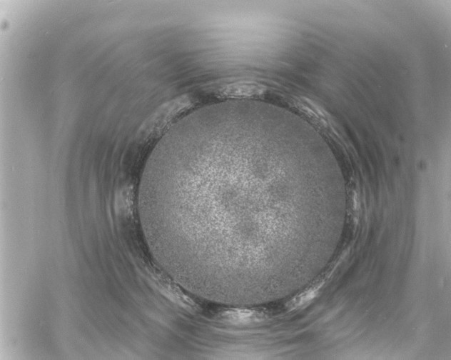 X0000060810326200511141513