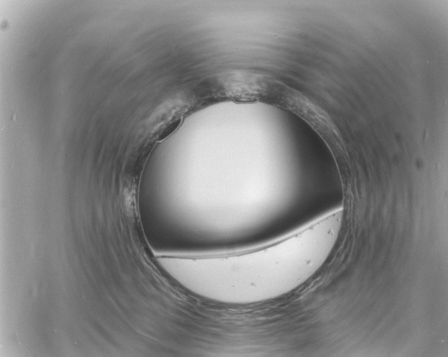 X0000060810329200511141513