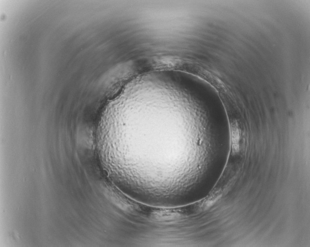 X0000060810331200511141513