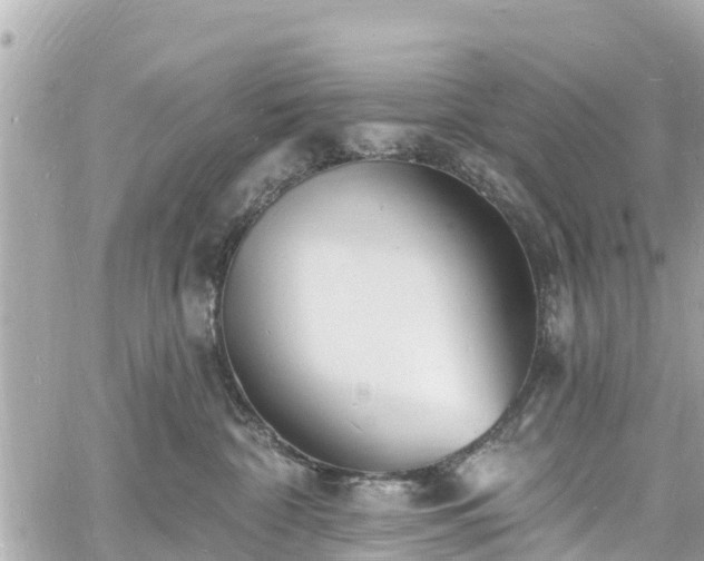 X0000060810332200511141513