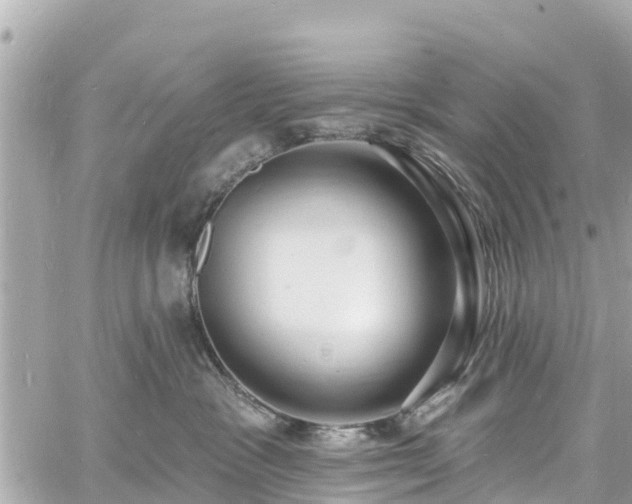 X0000060810333200511141513