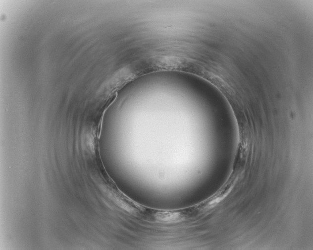 X0000060810334200511141513