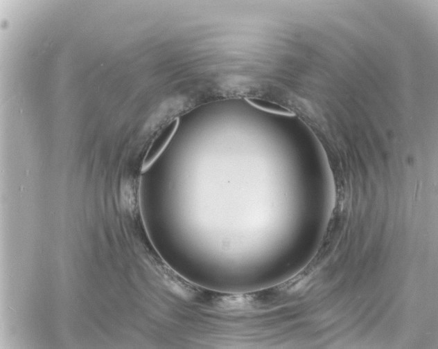 X0000060810335200511141513