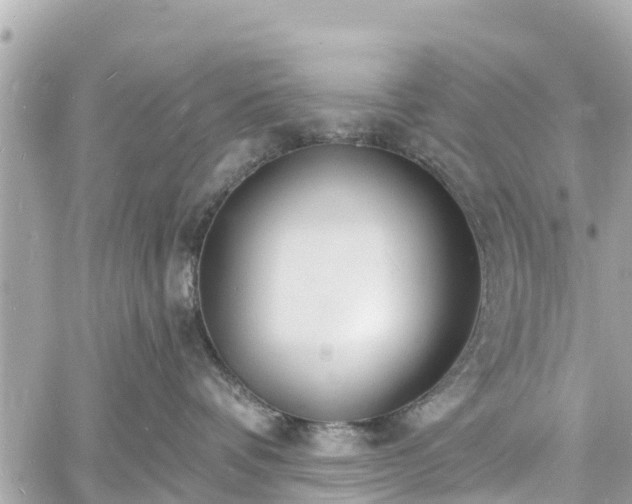 X0000060810336200511141513