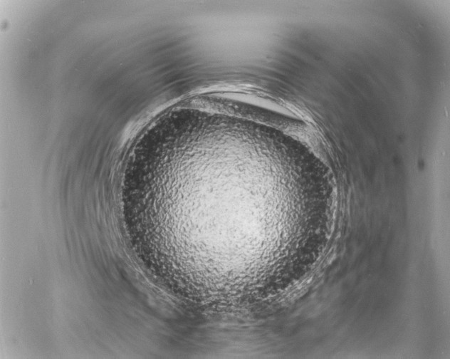 X0000060810337200511141512