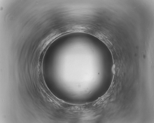 X0000060810338200511141512