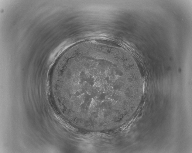 X0000060810339200511141512