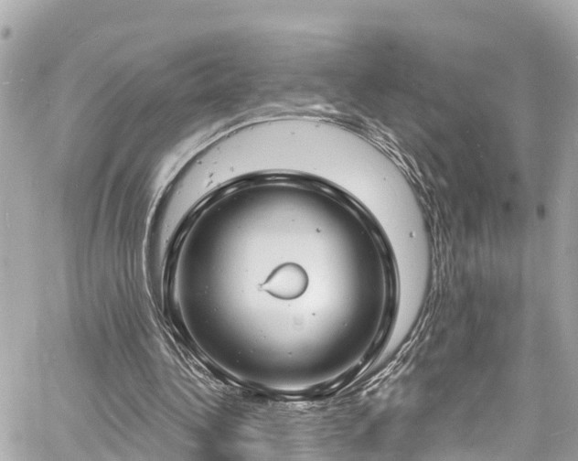 X0000060810340200511141512