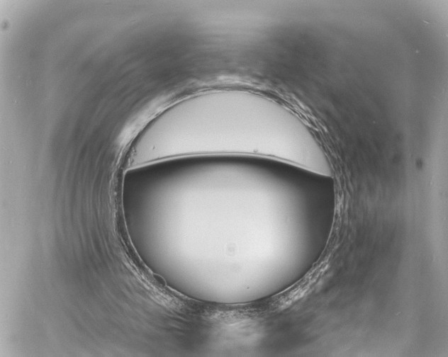 X0000060810341200511141512