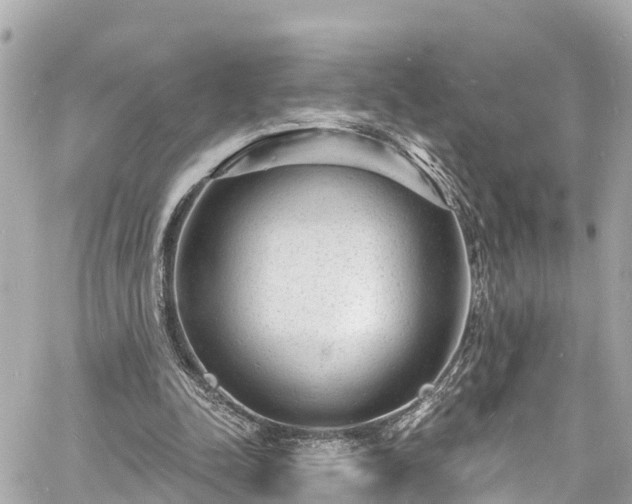 X0000060810342200511141512