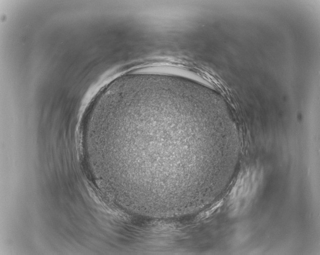 X0000060810343200511141512