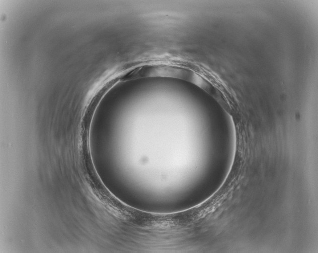 X0000060810344200511141512