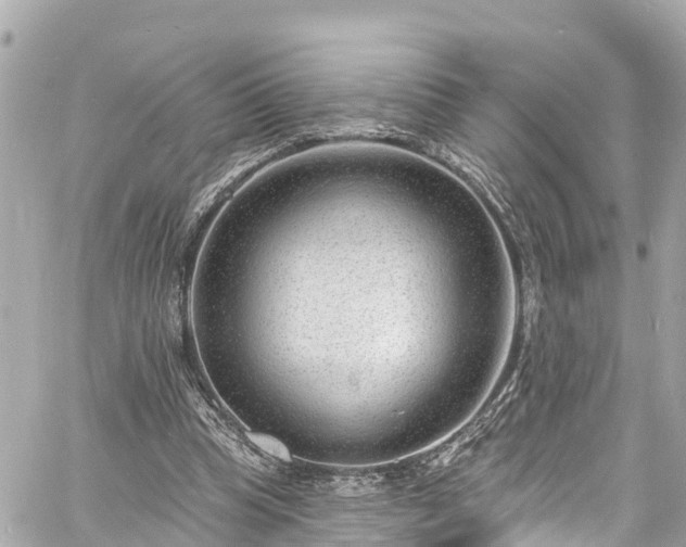 X0000060810345200511141512