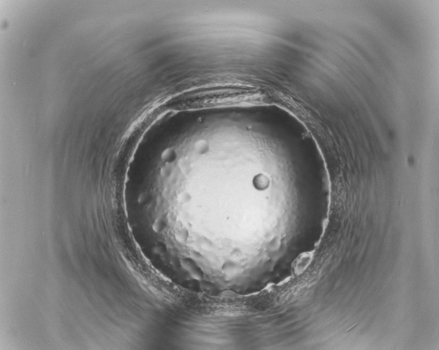 X0000060810347200511141512