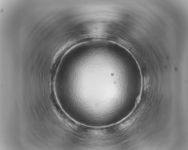 X0000060810349200511141512