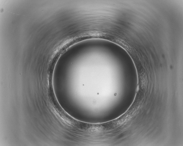 X0000060810350200511141512