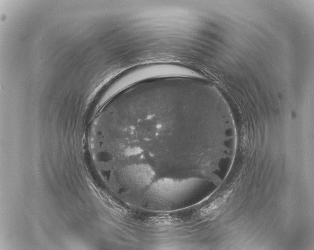 X0000060810351200511141512