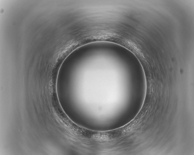 X0000060810354200511141512