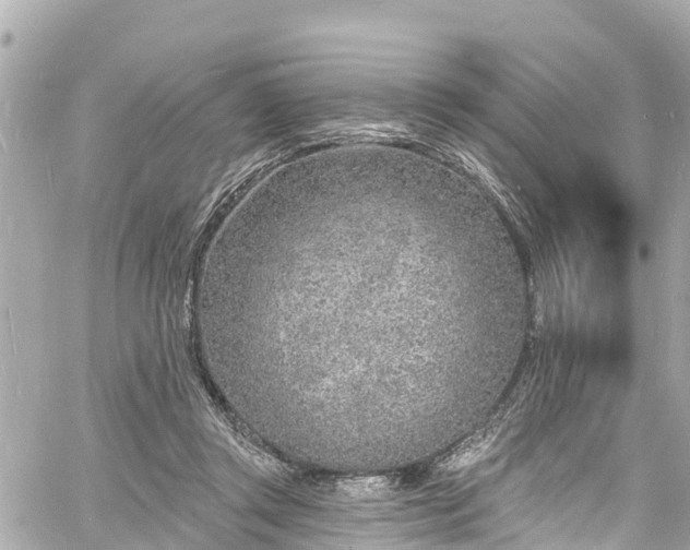 X0000060810357200511141512