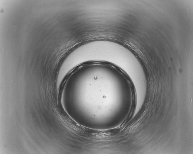 X0000060810359200511141512