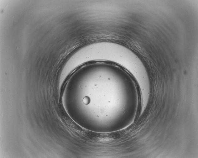 X0000060810360200511141512