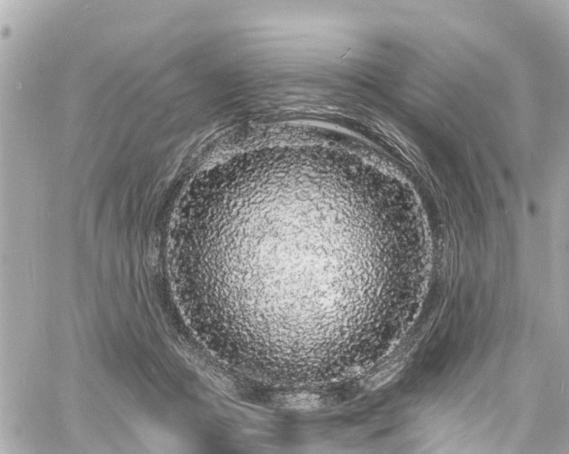 X0000060810361200511141512