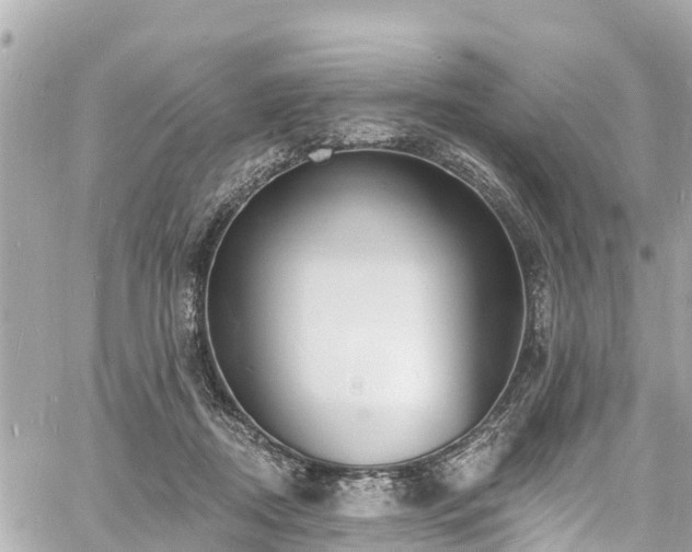 X0000060810362200511141512