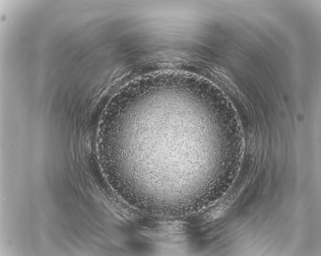 X0000060810363200511141512