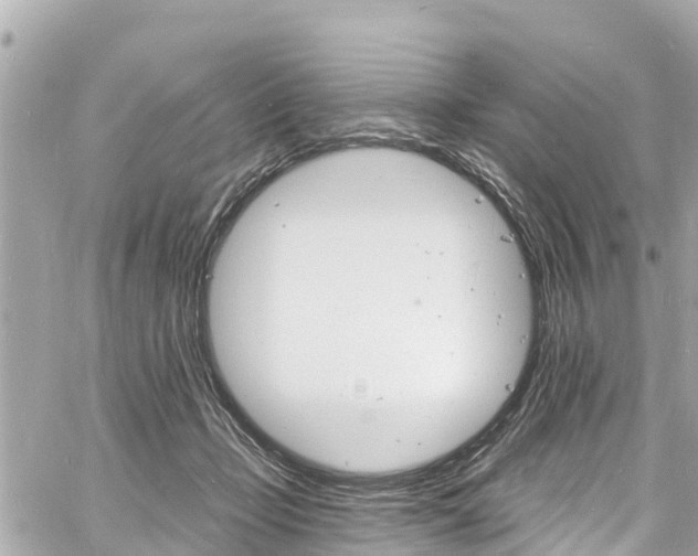 X0000060810365200511141512