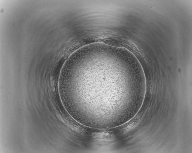 X0000060810366200511141512