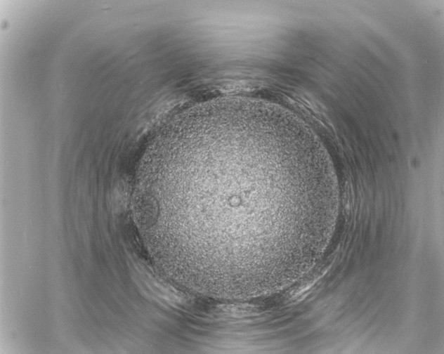 X0000060810367200511141512