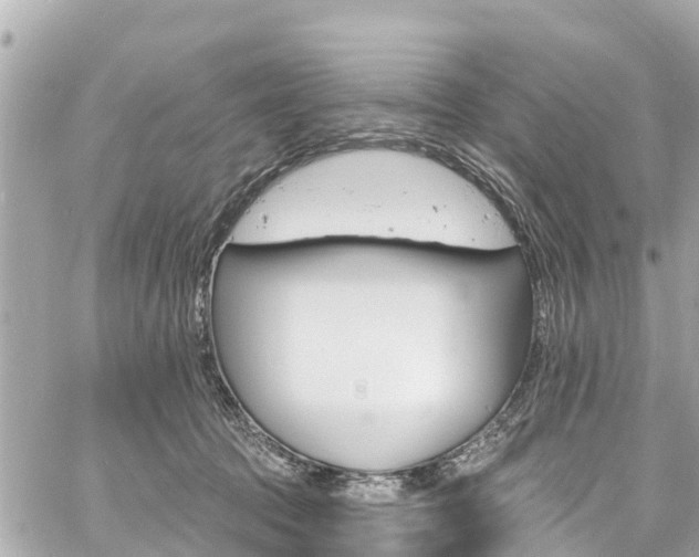 X0000060810369200511141512