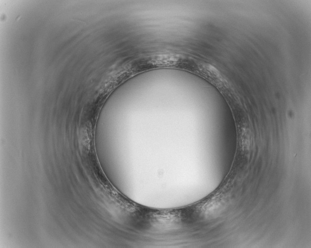 X0000060810370200511141512