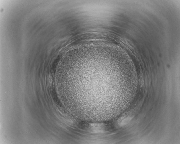 X0000060810371200511141512