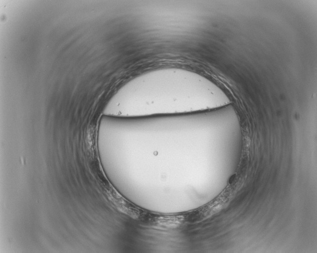 X0000060810373200511141512