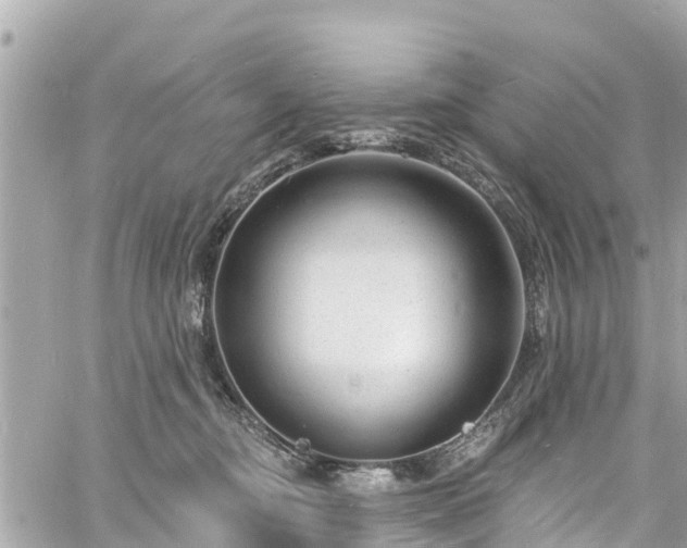 X0000060810374200511141512