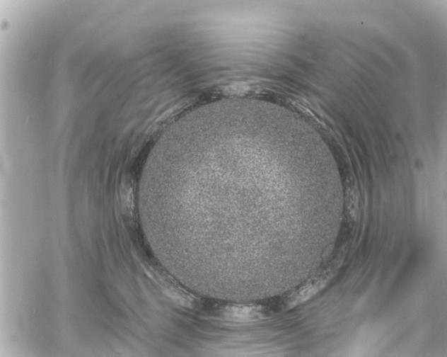 X0000060810375200511141512