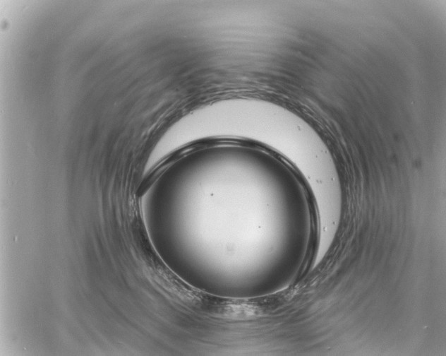 X0000060810376200511141512