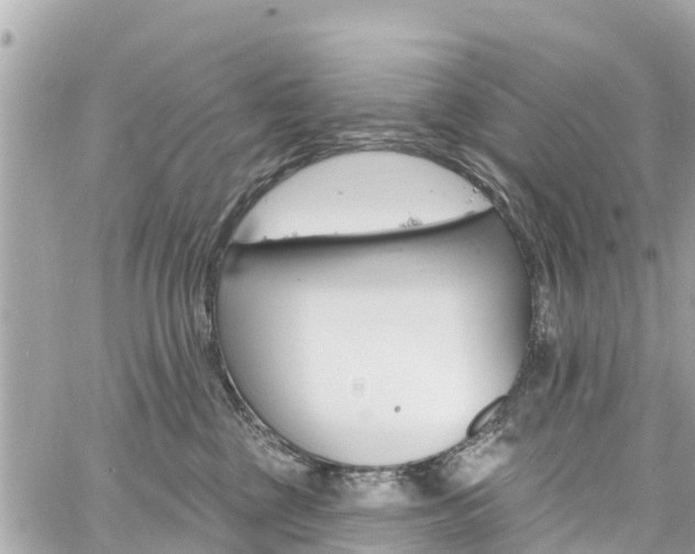 X0000060810377200511141512