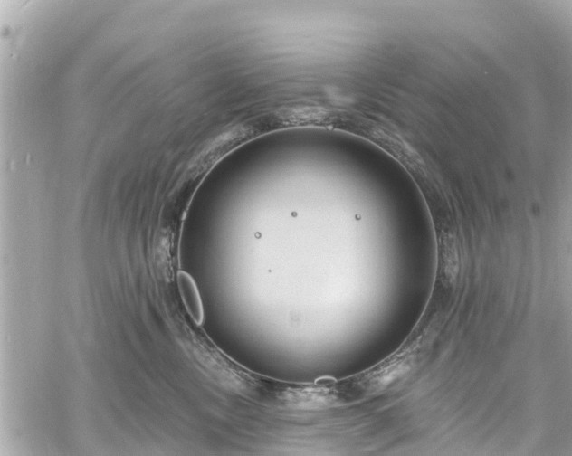 X0000060810378200511141512