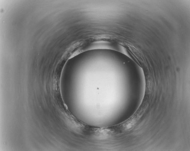 X0000060810379200511141512