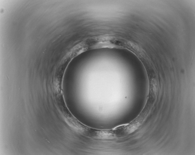 X0000060810380200511141513