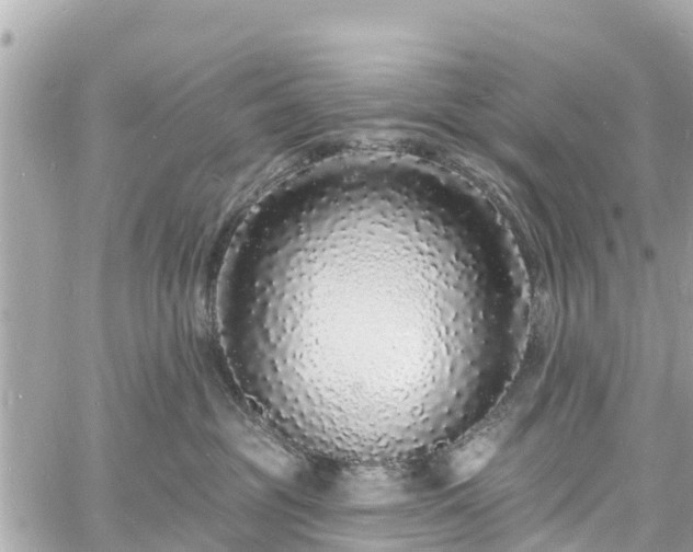 X0000060810381200511141513