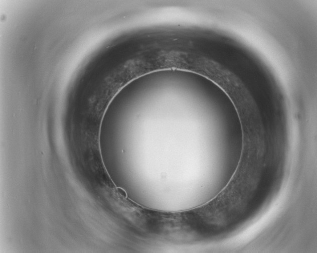 X0000060810382200511141513