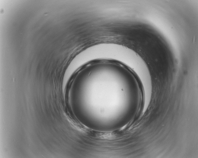 X0000060810383200511141513