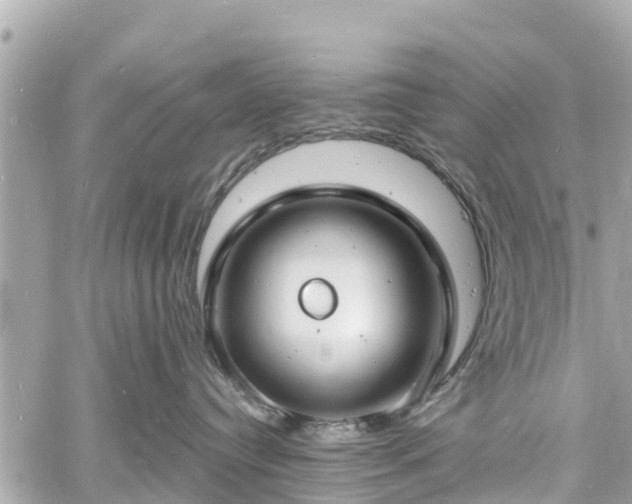 X0000060810384200511141513