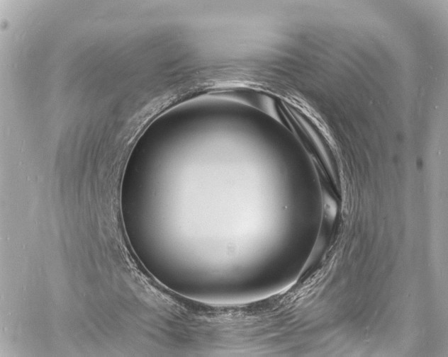 X0000060810385200511141512